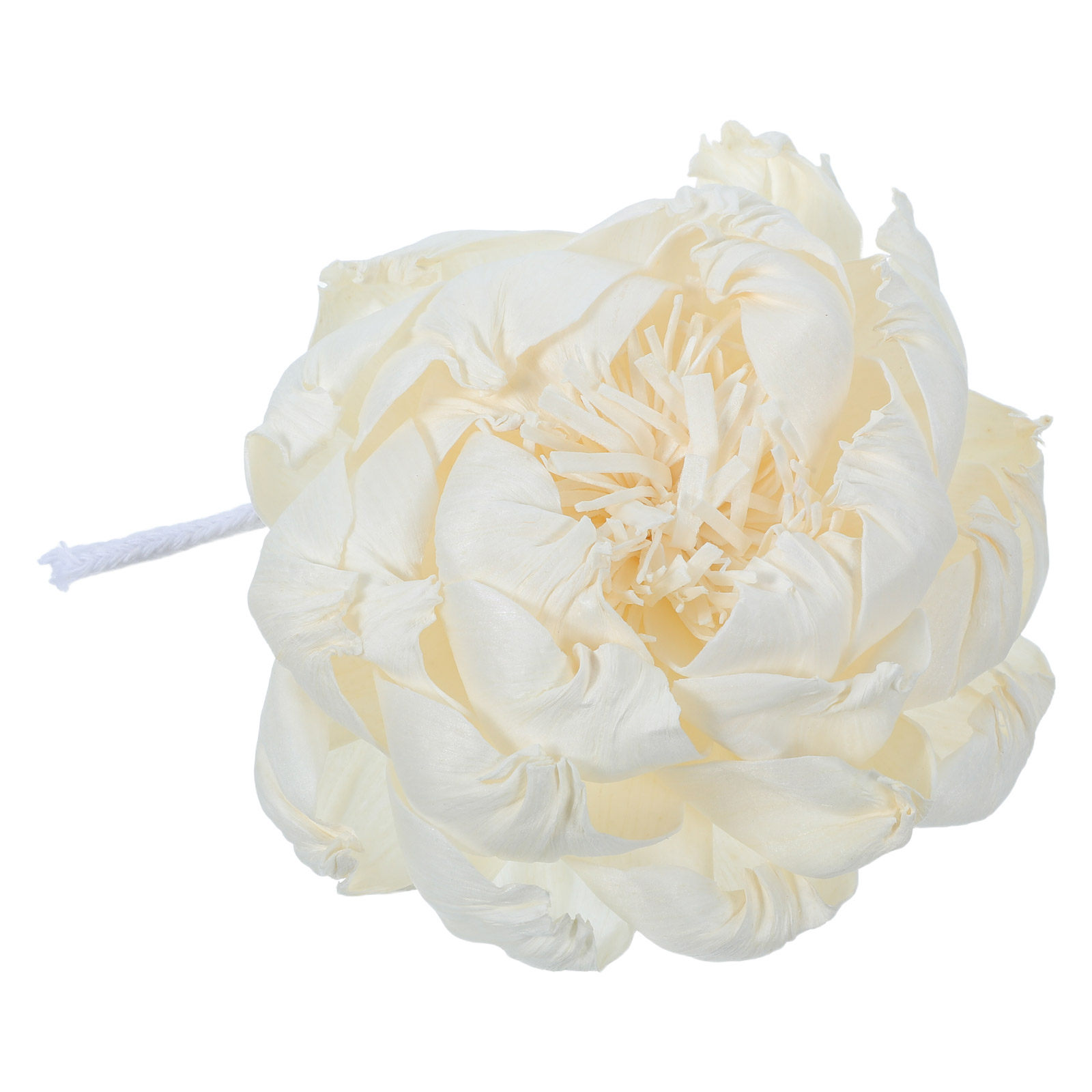 Şakayık Başlı Koku Difüzörü 12 - Home Fragrance Oils For Diffusers incelemesi ve fiyatı
