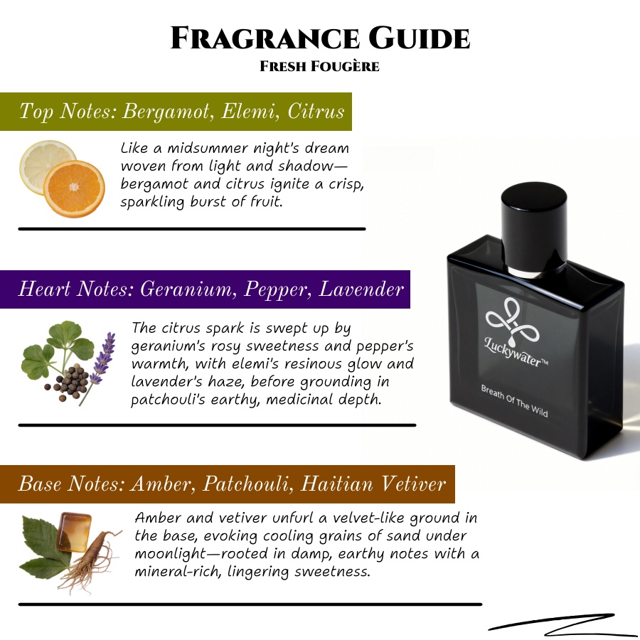 Erkekler için 50ml Uzun Süre K - Home Fragrance Business incelemesi ve fiyatı