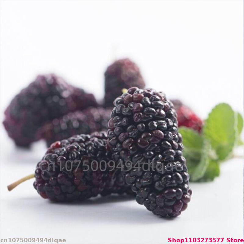 100g-200g Doğal Toplu Dutlar K - Potpourri Dried Flower incelemesi ve fiyatı