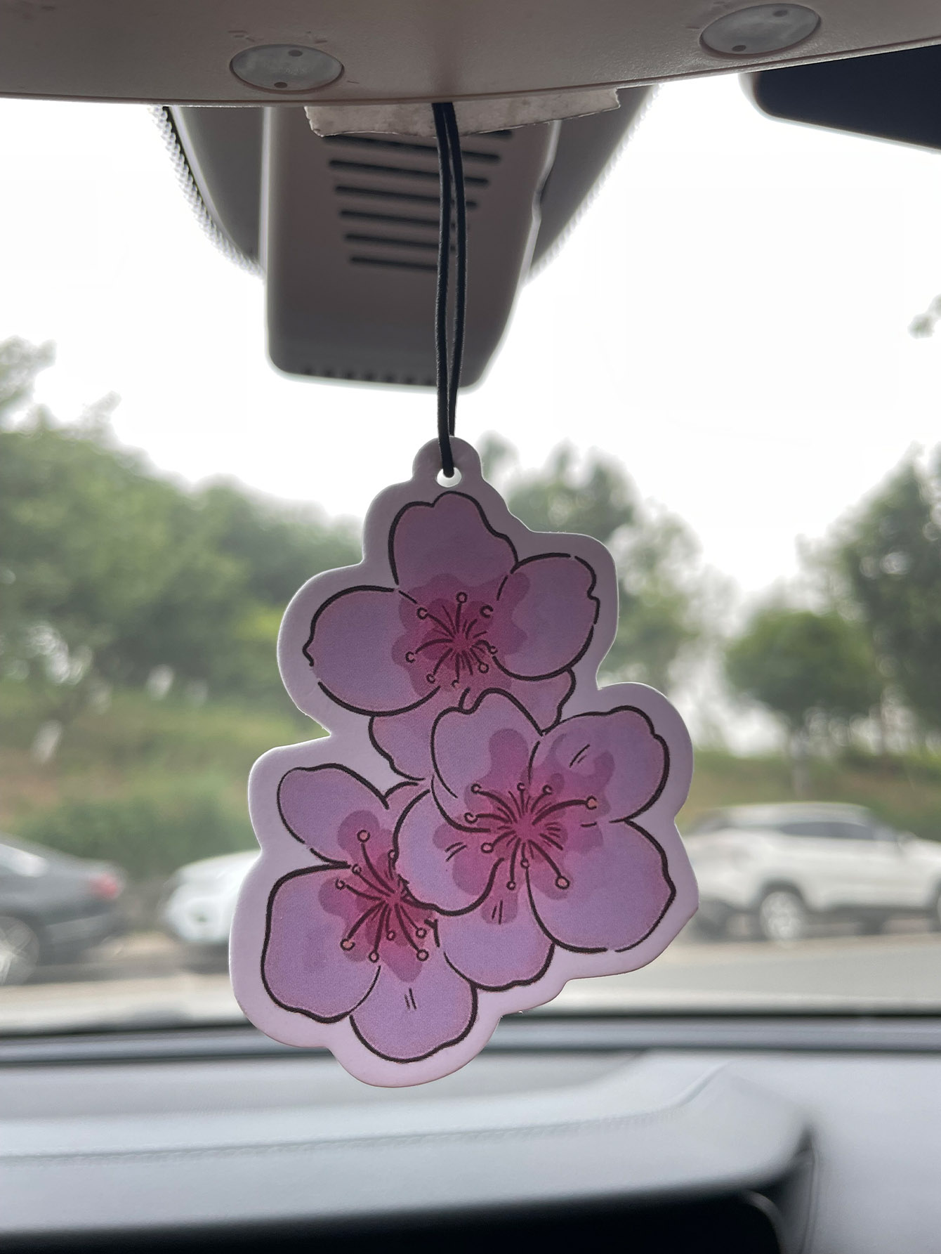 Sakura/Frezya Taze Kokulu Beş  - Home Fragrance Non Toxic incelemesi ve fiyatı