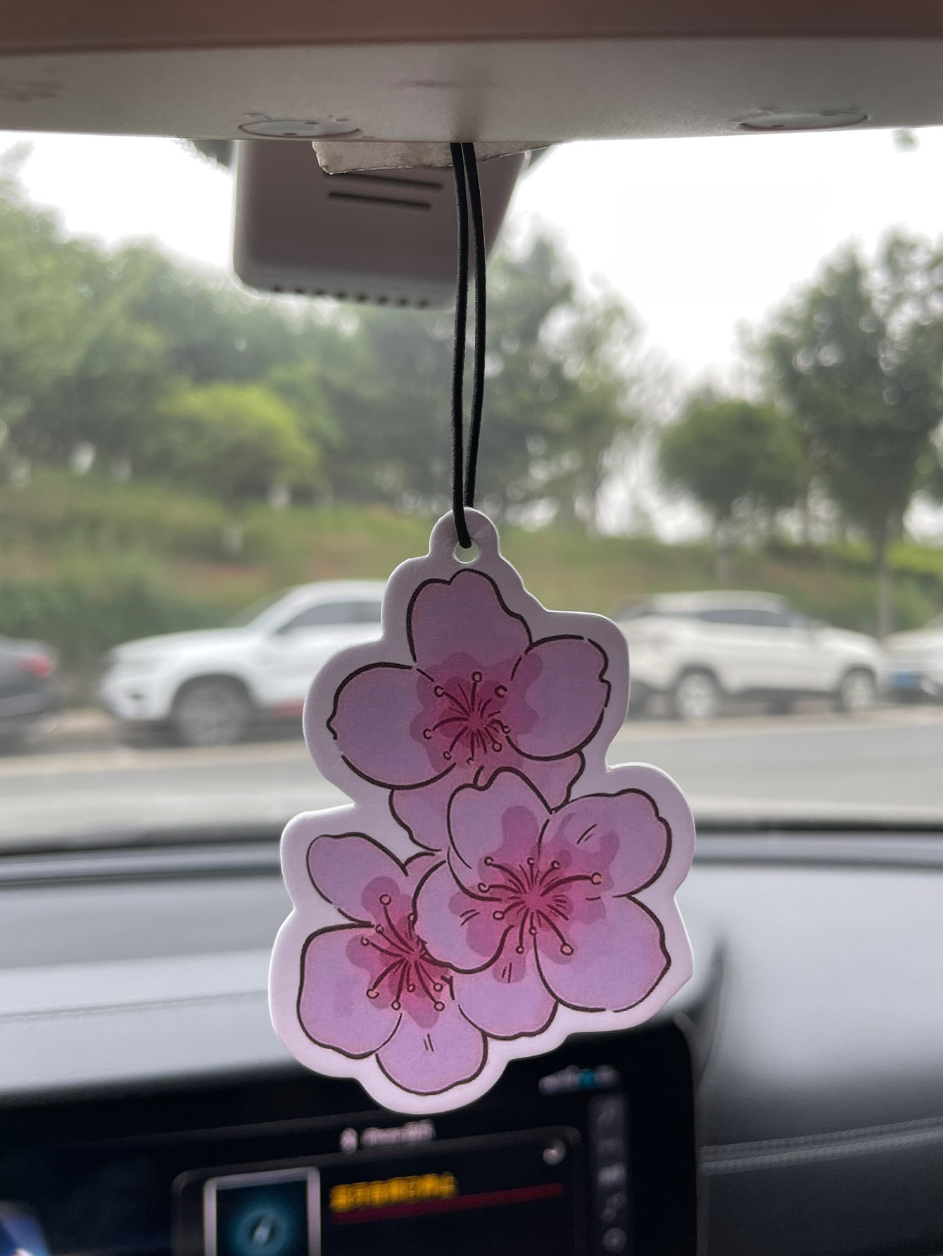 Sakura/Frezya Taze Kokulu Beş  - Home Fragrance Non Toxic incelemesi ve fiyatı